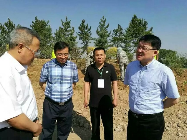 赤峰接受内蒙古电视台专访