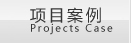 导航项4