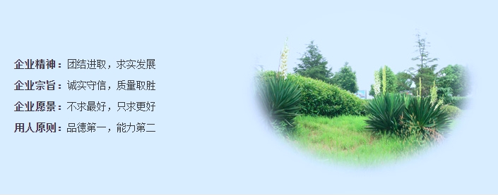 0153504.png